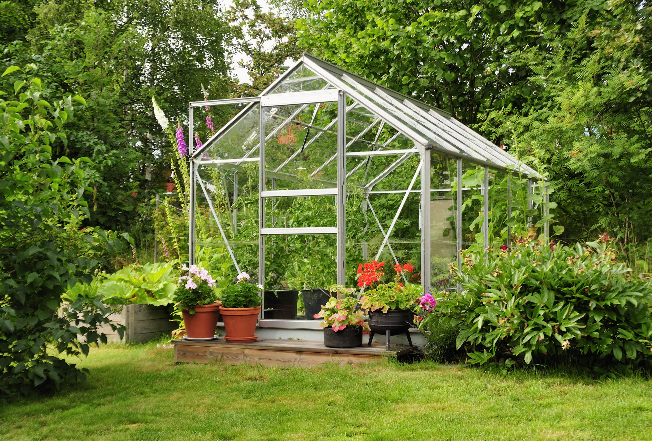 Maxavenue Real Estate Austin Texas - Greenhouse